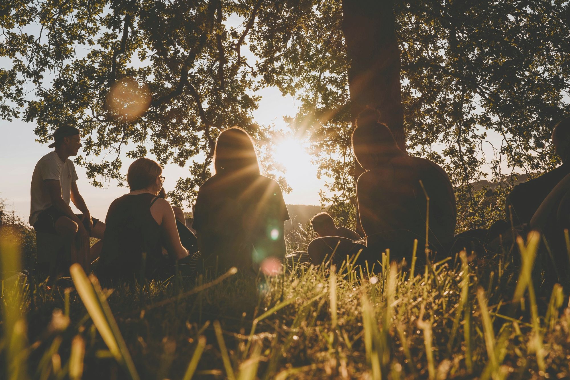 Friends sitting in a loose circle on the grass under an oak, the low sun through the leaves.